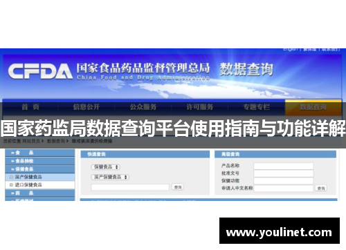 国家药监局数据查询平台使用指南与功能详解