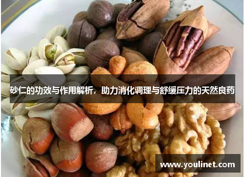 砂仁的功效与作用解析，助力消化调理与舒缓压力的天然良药