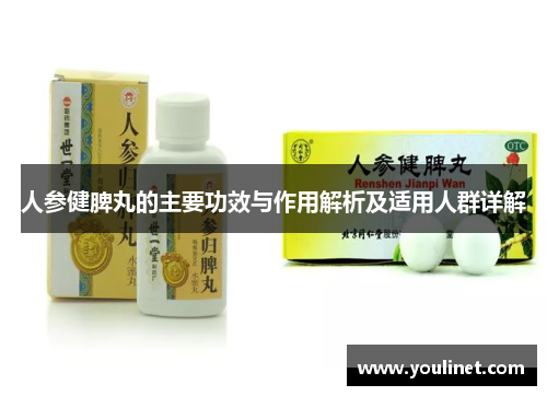 人参健脾丸的主要功效与作用解析及适用人群详解