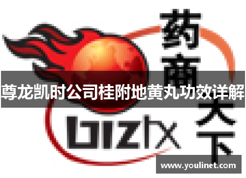 尊龙凯时公司桂附地黄丸功效详解