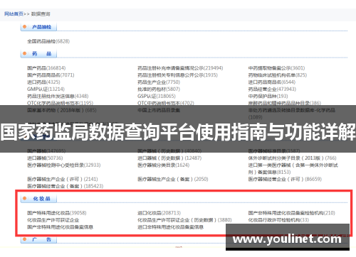 国家药监局数据查询平台使用指南与功能详解