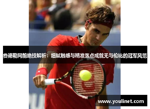 费德勒网前绝技解析：细腻触感与精准落点成就无与伦比的冠军风范