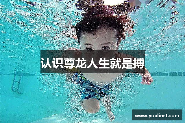 认识尊龙人生就是搏